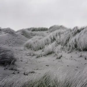 black and white photograph of sand dunes